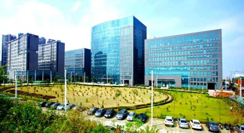 广州畅游旅游发展有限公司企业团建定制方案与执行流程详解